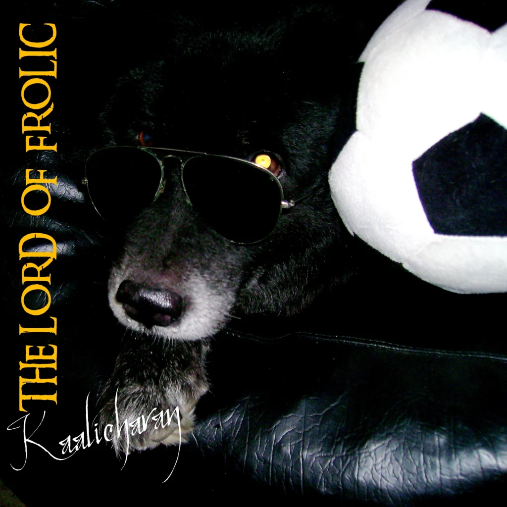 Kaalicharan, a Bhotia mix rescued as a puppy, wearing sunglasses beside a football