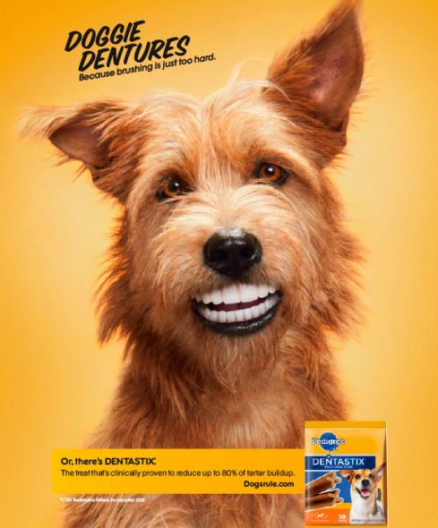 Pedigree Doggie Dentures ad
