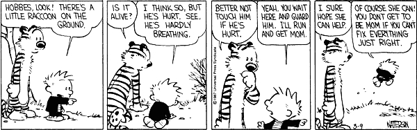calvin and hobbes raccoon quote 