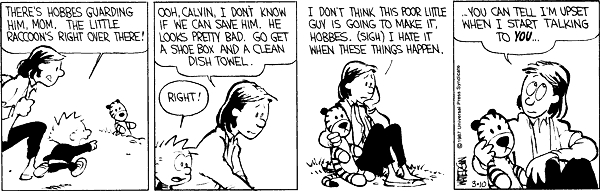 top calvin and hobbes quote