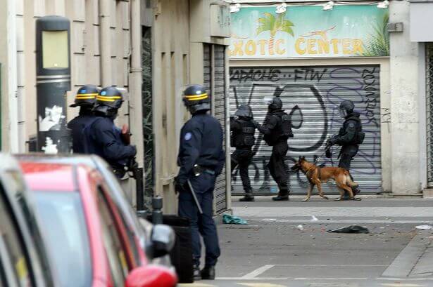 France Police dog