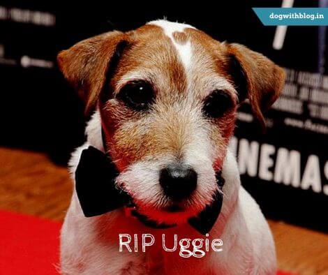 RIP Uggie