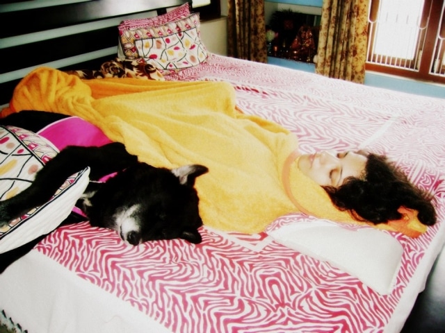 'dog with blog kaalicharan sleeping', Wake up Neo