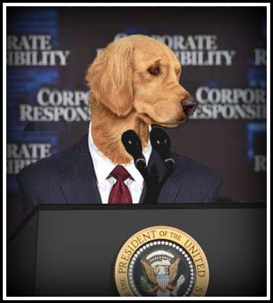 US presidents dogs