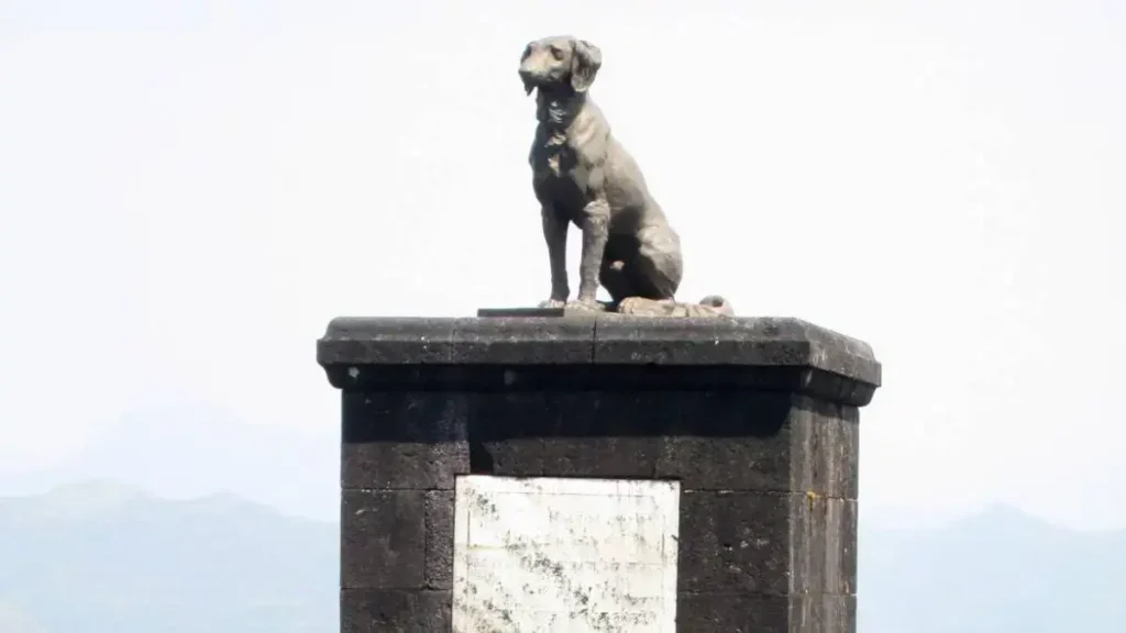 Bronze statue of Waghya the loyal dog at Raigad Fort Maharashtra overlooking hills, commemorating his legendary leap after Chhatrapati Shivaji Maharaj's 1680 death.