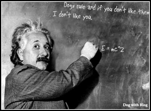 Theory of relativity dogs Einstein