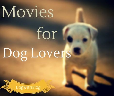 best Movies for animal lovers