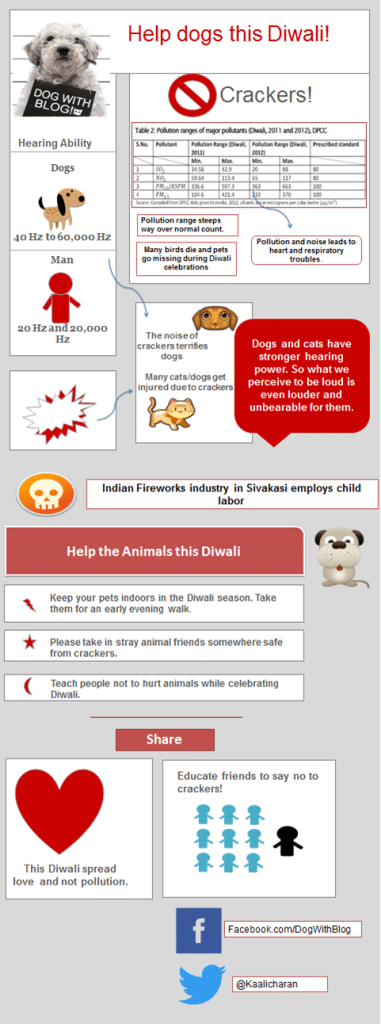 Dog Diwali - 10 tips to help stray dogs diwali , How to help dogs this Diwali