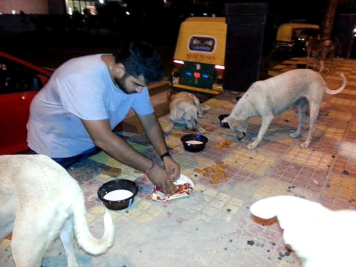 feeding stray dogs, Delhi feed a dog, Humans of New Delhi