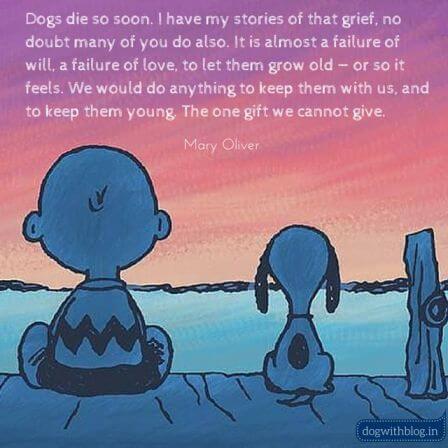 Dogs die quote - peanut mary oliver