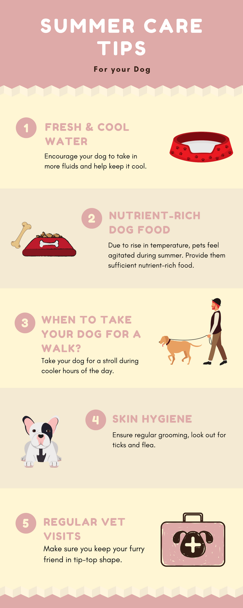 summer dog care tips