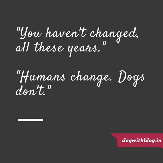 Forever dog - Dogs don't change