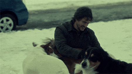 Will Graham plays with dogs