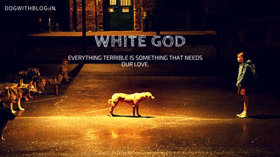 White God movie review