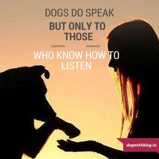A dog's body language can speDogs body language | Dogs do speak, but only to those who know how to listen. Orhan Pamuk dog quote