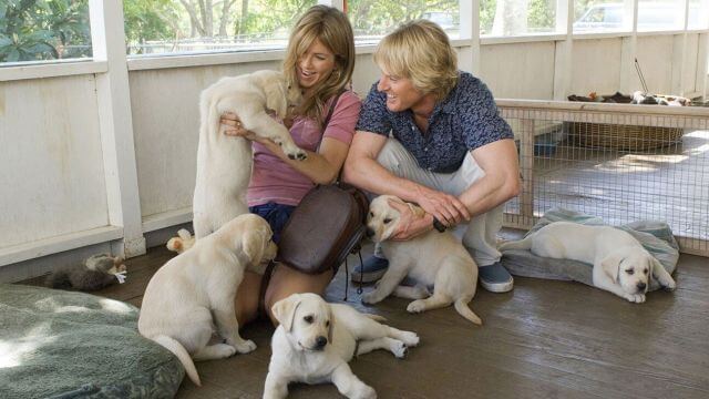 marley and me movie