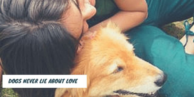 dogs never lie about love