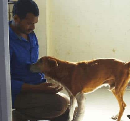 Pune dog lover
