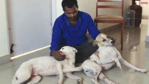 Man Saves Money For 10 Years To Buy Ambulance For Stray Dogs!