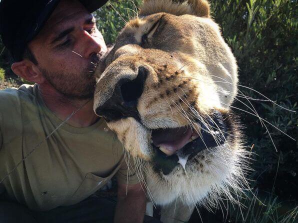 Lion Whisperer is saving Lions