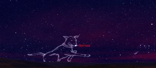 Sirius Dog star