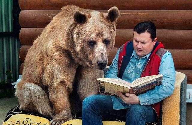 Russian couple who adopted an orphan bear