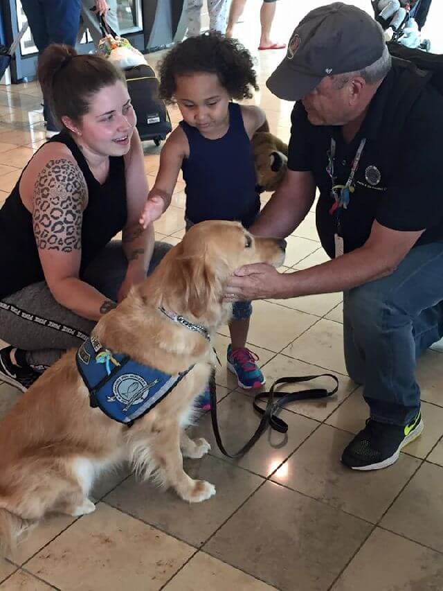 therapy dogs Orlando