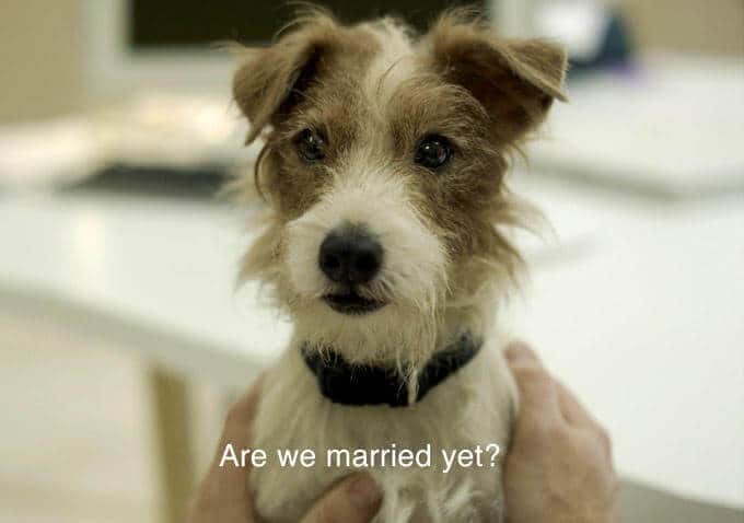 Beginners dog Are we married yet 