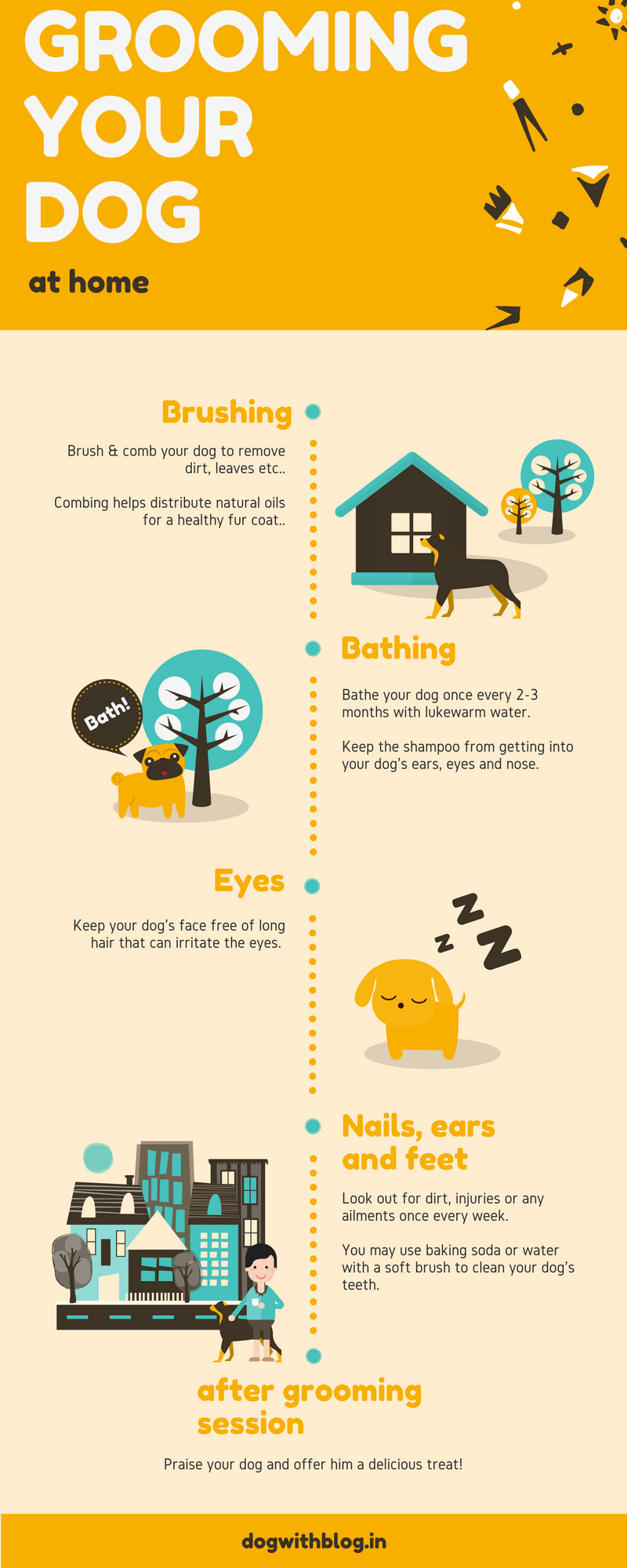 groom your dog infographic