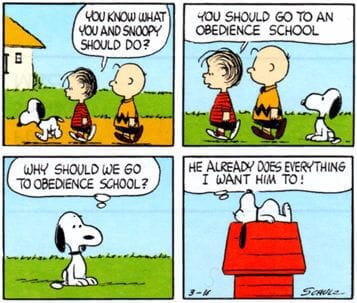 Snoopy obedience school