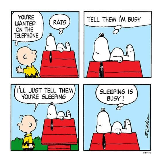 peanuts sleeping is busy