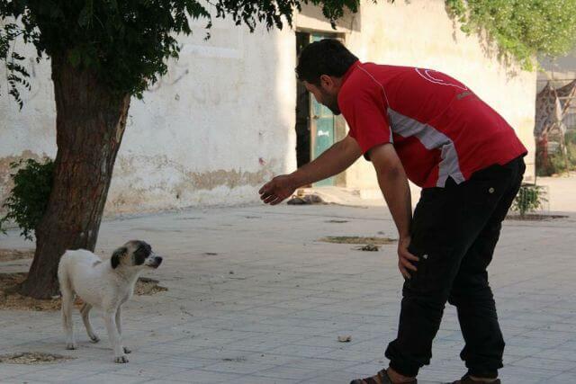 dog-lover-syria