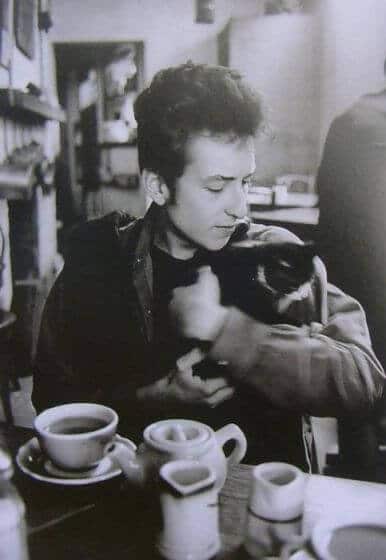 Bob Dylan loves cat