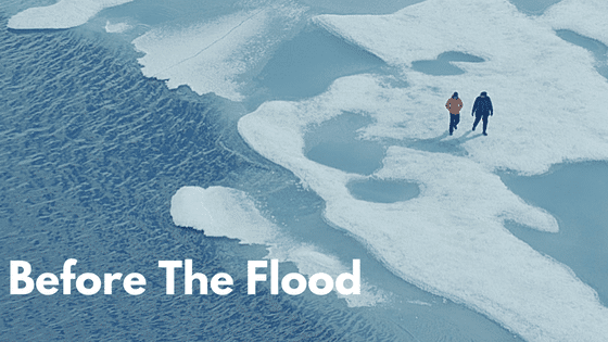Before the flood review
