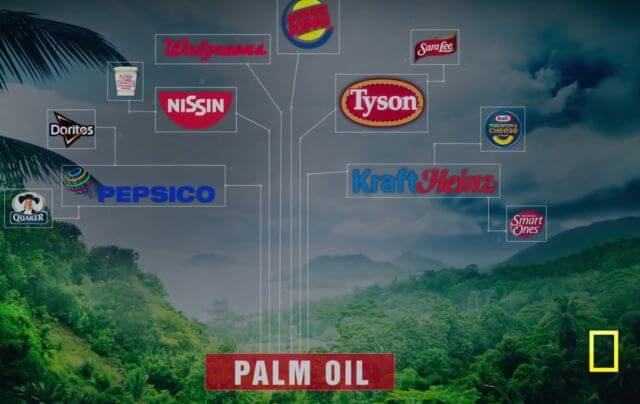 palm oil companies