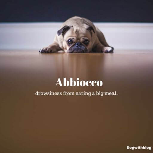 Abbiocco beautiful words in other languages