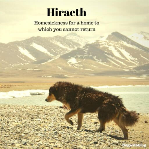 Hiraeth meaning