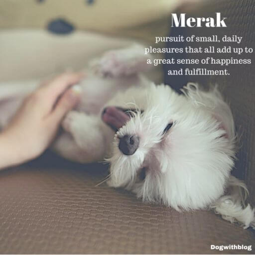 merak meaning