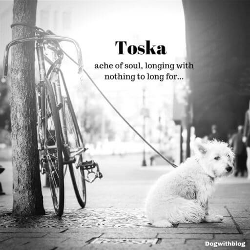 toska beautiful words