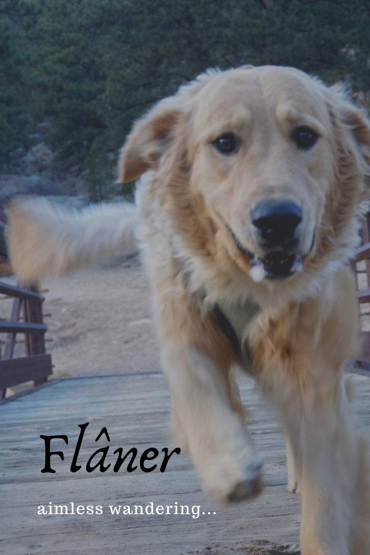 flaner word meaning