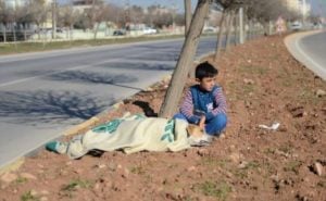 Refugee boy helps injured stray dog turkey 4 58afe401da74c
