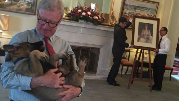 Australia governor adopts dog