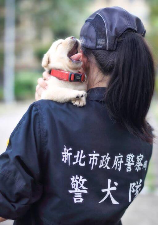 puppy-k-9-police-dogs-taiwan-police