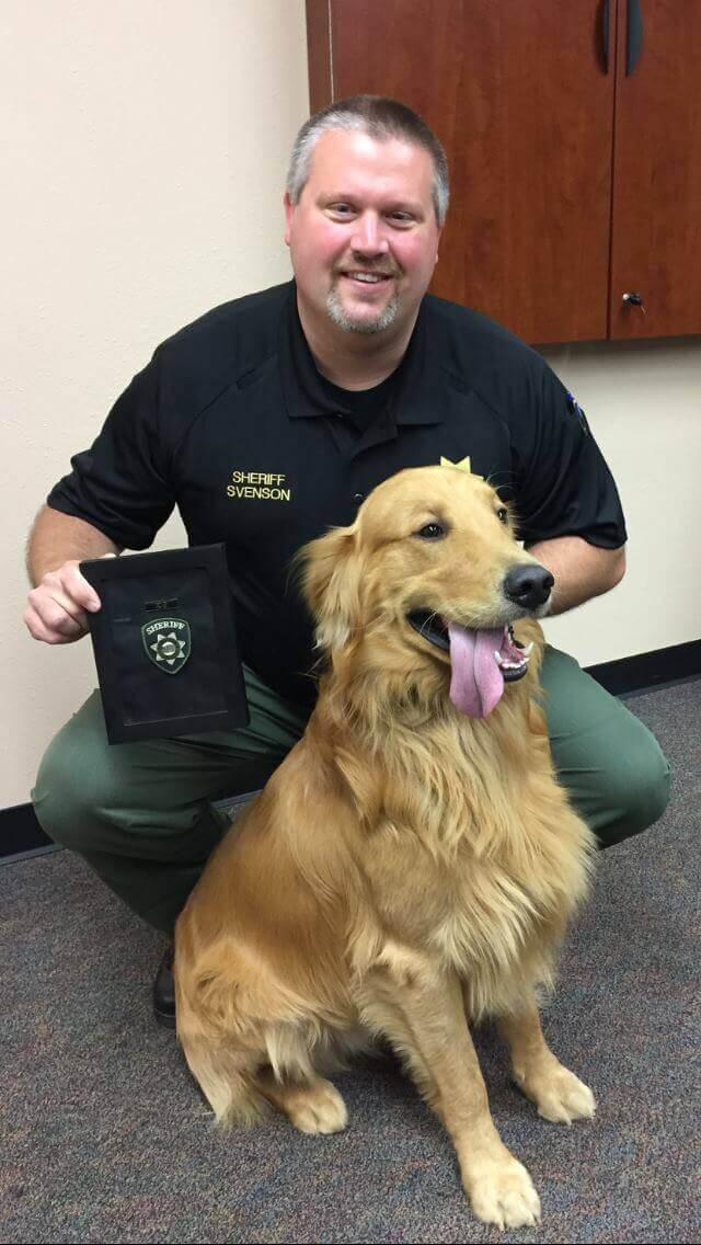 Hero dog who discovered drugs in his backyard