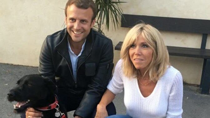 French president adopts rescue dog