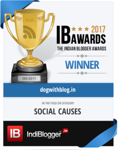 dog blog India best