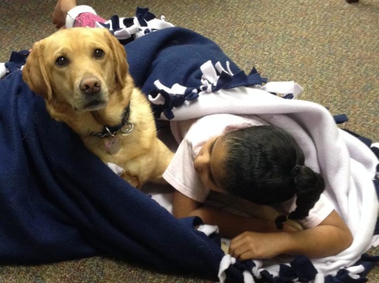 How Therapy dogs in court are helping kids testify against their abusers?
