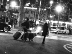 “Black‑and‑white photo of a couple crossing a busy city street at night, one pulling a suitcase while walking a large fluffy dog beside them, with car headlights and parked vehicles in the background.