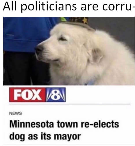 dog mayor 