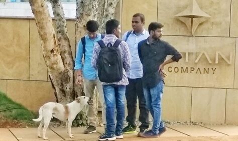 Doggo bengaluru